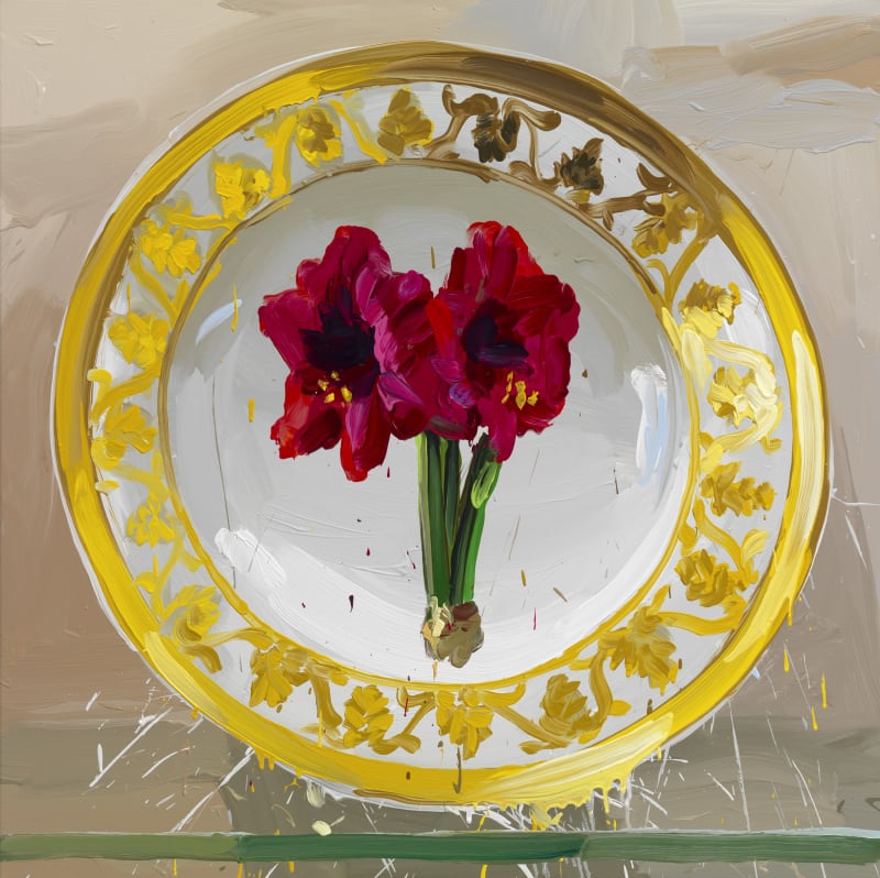 Vienna, Amaryllis, 2012