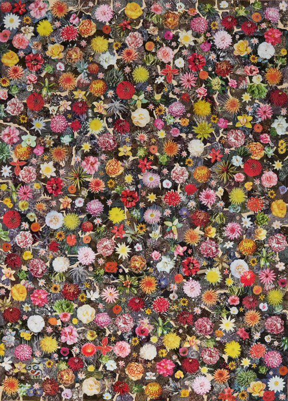 Collage by artist Matthew Craven of a variety if different flowers on a black background