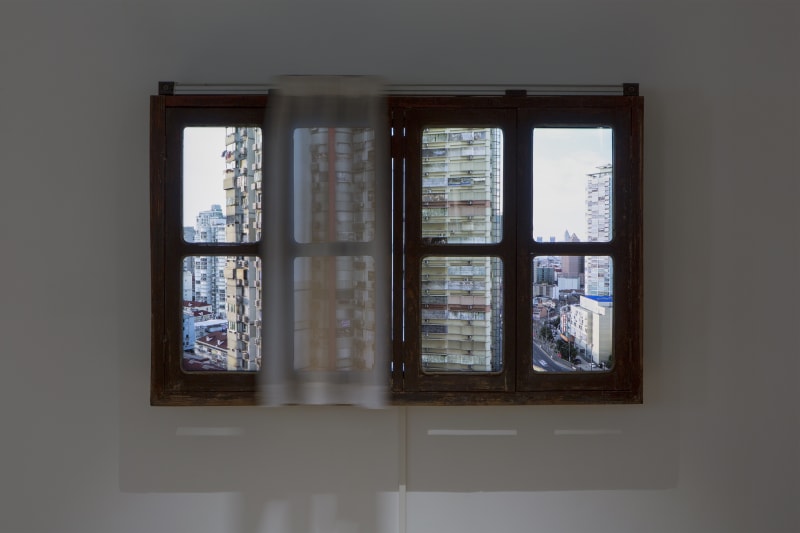 The Window Blind 2, 2019