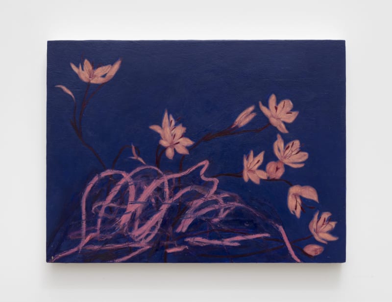 Alexandria Tarver nights 79, Galway, 2024 Oil, oil pastel, and pencil on panel 9 x 12 inches 22 x 30 cm