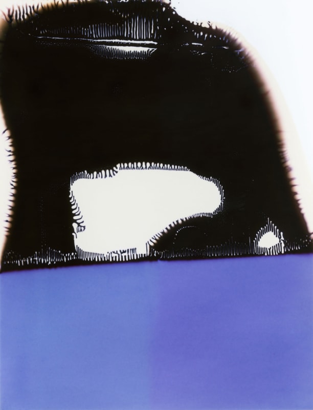 Cati Bestard, “101”, 2019, Inkjet print, Canson Baryta Satin, 45.75 x 35 inches (116.1 x 88.9 cm)