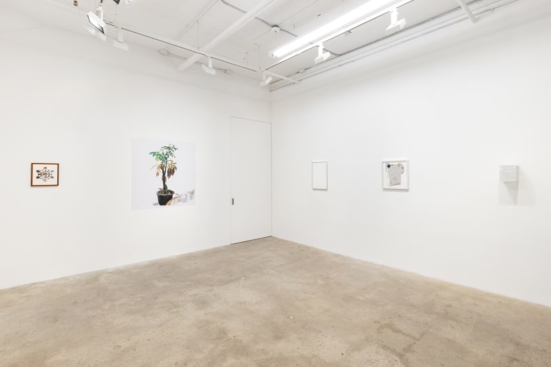 Installation view, Winter: Justin Chance & Sylvie Hayes-Wallace, 2023