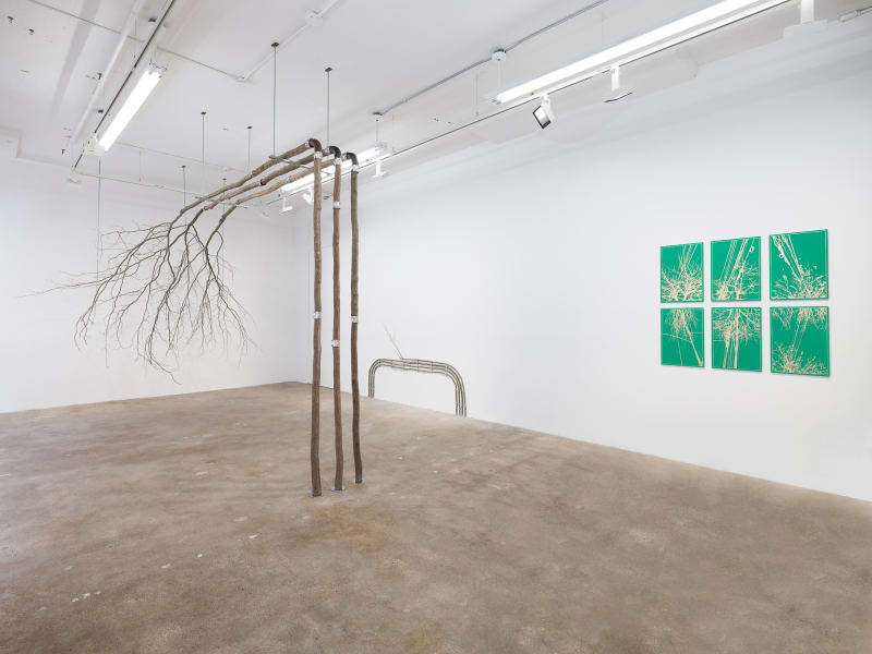 Installation View, Kristyna and Marek Milde: Conductive Fields, HESSE FLATOW, New York.