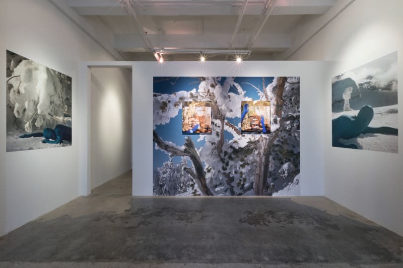 Matthew Morrocco , ORCHID.seasons - winter