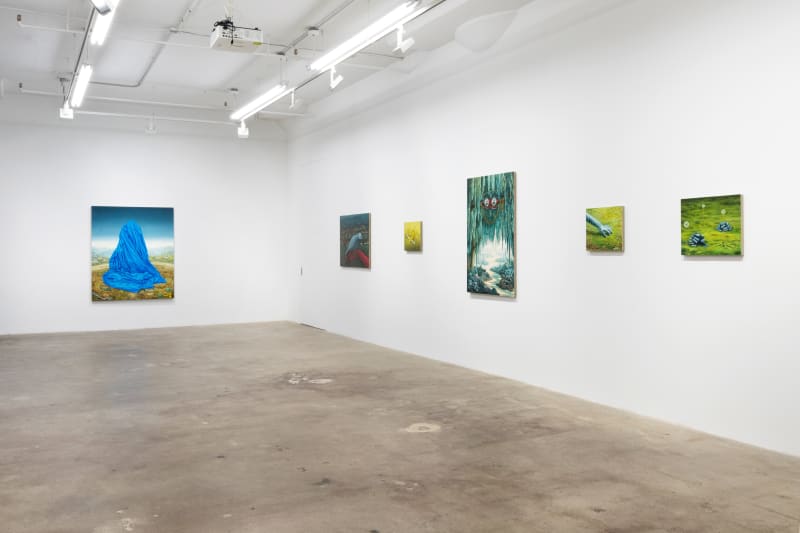 Kirsten Deirup , Hyper Pastoral