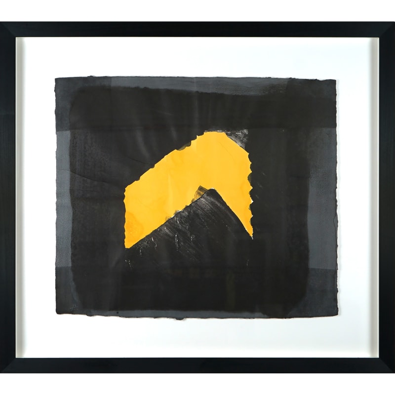 Howard Hodgkin