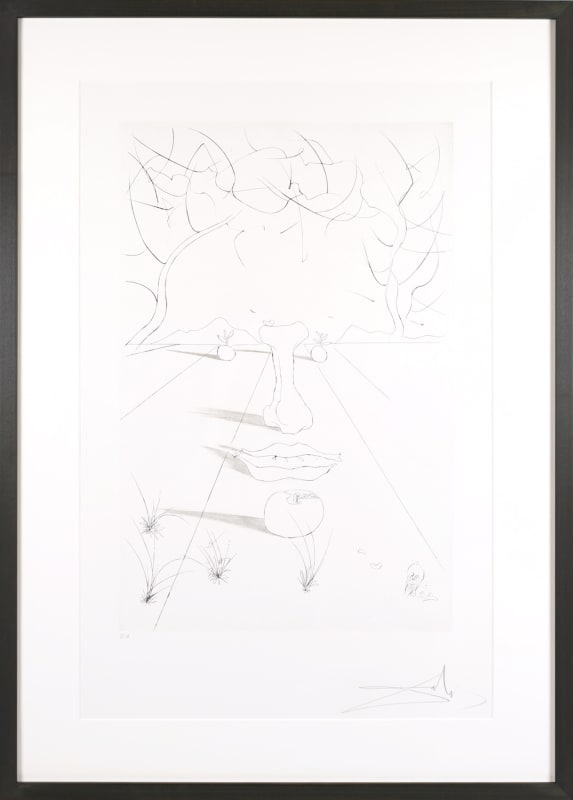 Salvador Dali, Visage Surrealiste, 1972