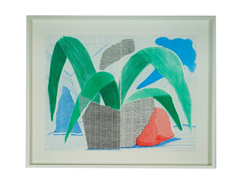 David Hockney Green Grey & Blue Plant, 1986.