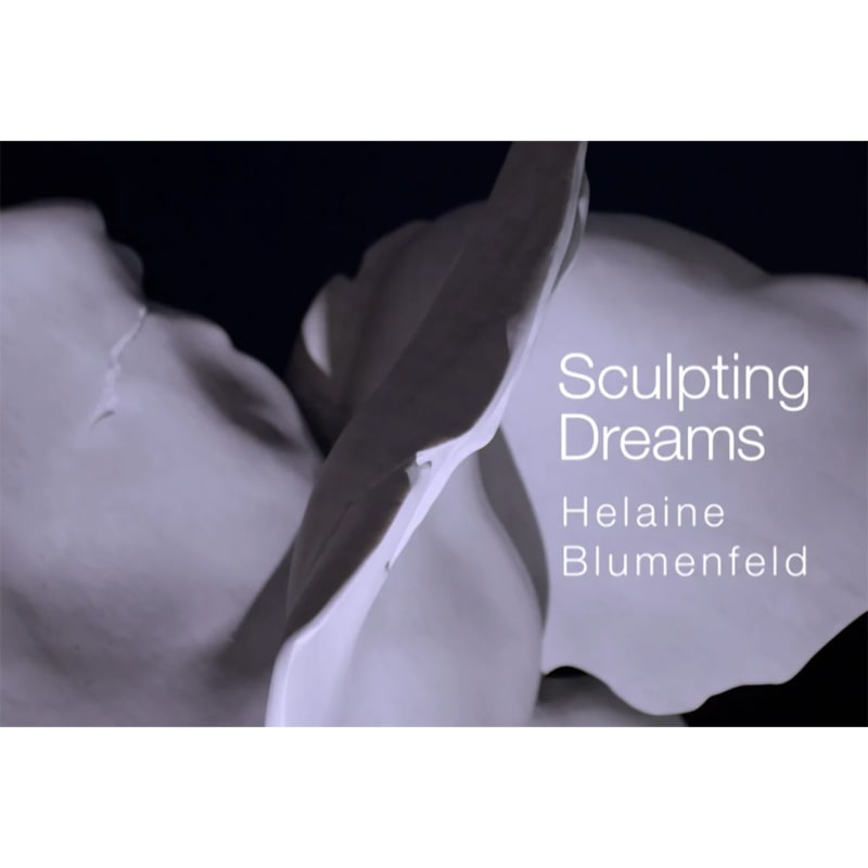 HARD BEAUTY I SCULPTING DREAMS | Sky Arts, Helaine Blumenfeld