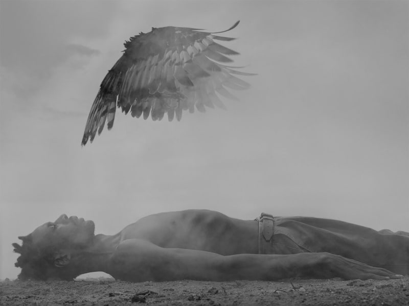 Nick Brandt, The Day May Break