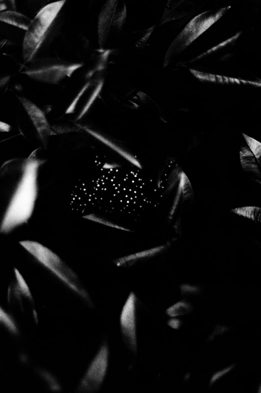 Laying Stones 018, 2014