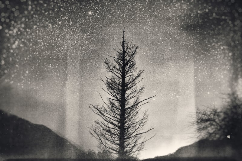 Untitled, from Fluorite Fantasia, 2015