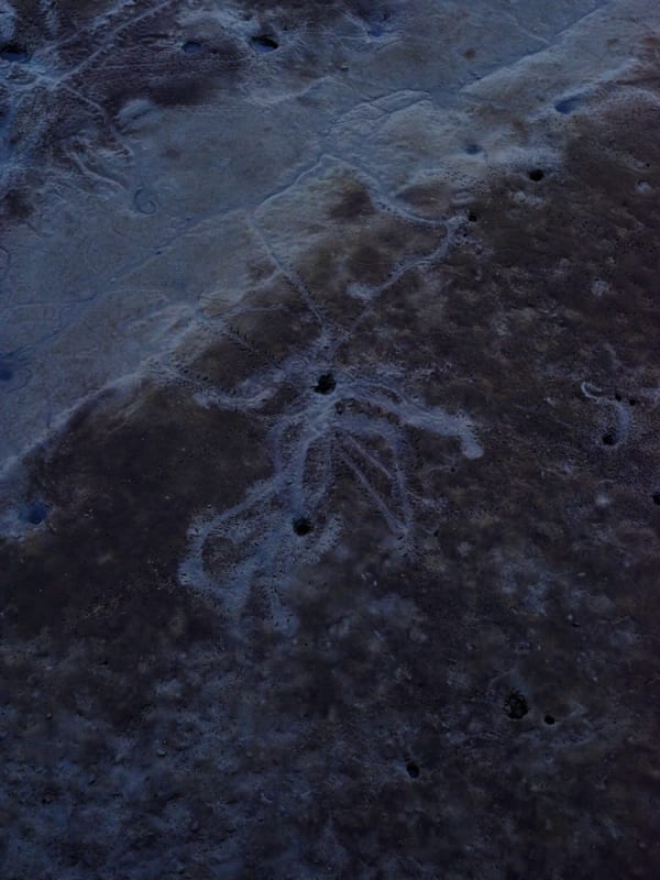 Untitled form Murder (dusk 01), Takeo City, Saga pref, Japan, 2016