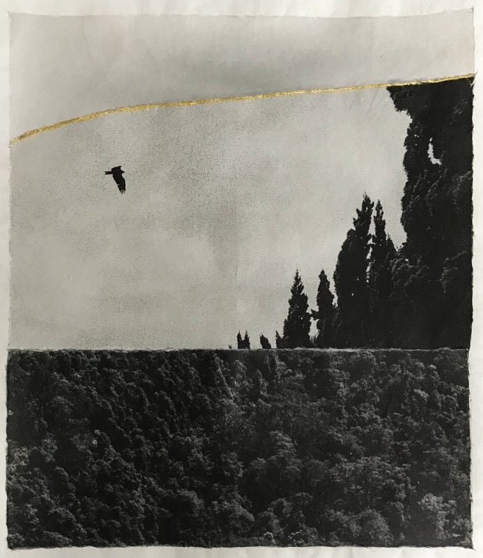 #33 Borders of Nothingness - On the Mend - Margaret Lansink