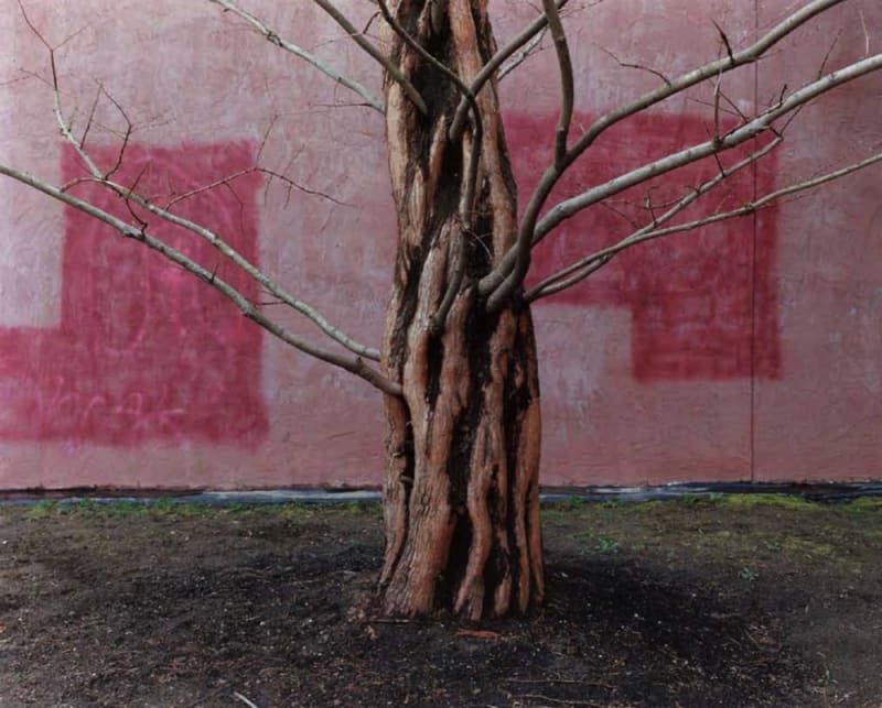 #08 Monkey Puzzle - Yoko Ikeda