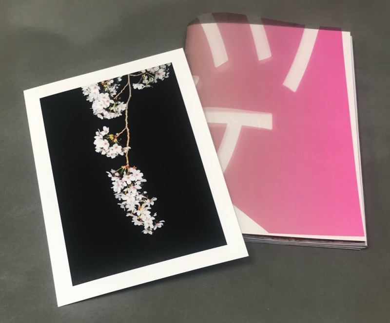 SAKURA - Yoshinori Mizutani, special edition with print Sakura 023