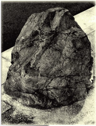 Better Not Move - Petra Noordkamp