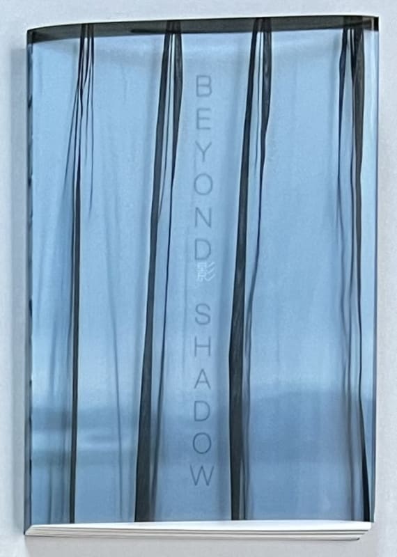 Beyond Shadow - Sudi