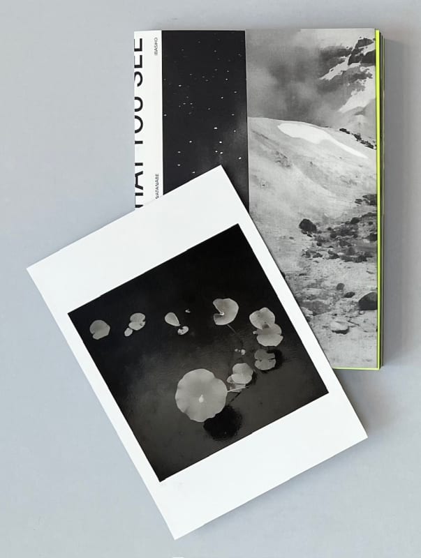 Beyond what you see - Toshiya Watanabe, Special Edition with choice of 10 unique numbered and signed artist prints in...