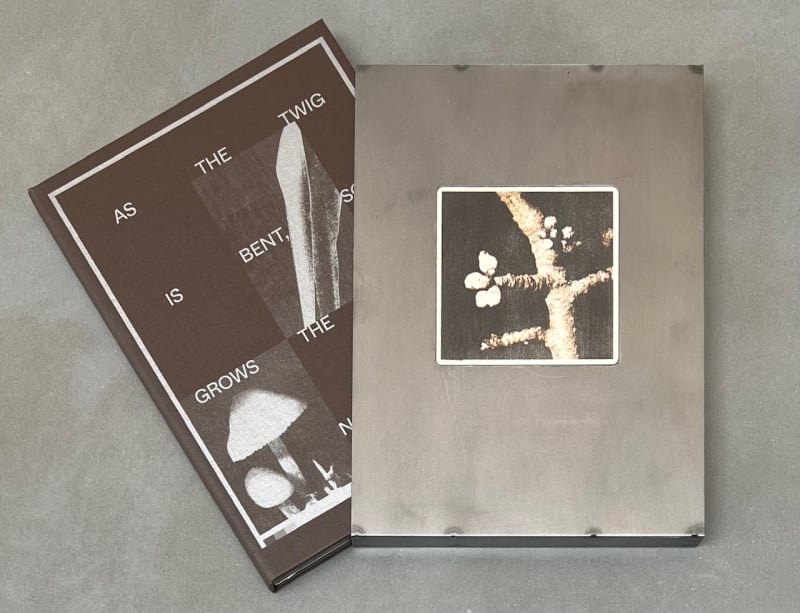 As the twig is bent, so grows the tree. - Norio Takasugi, Special Edition with an artwork on metal slipcase