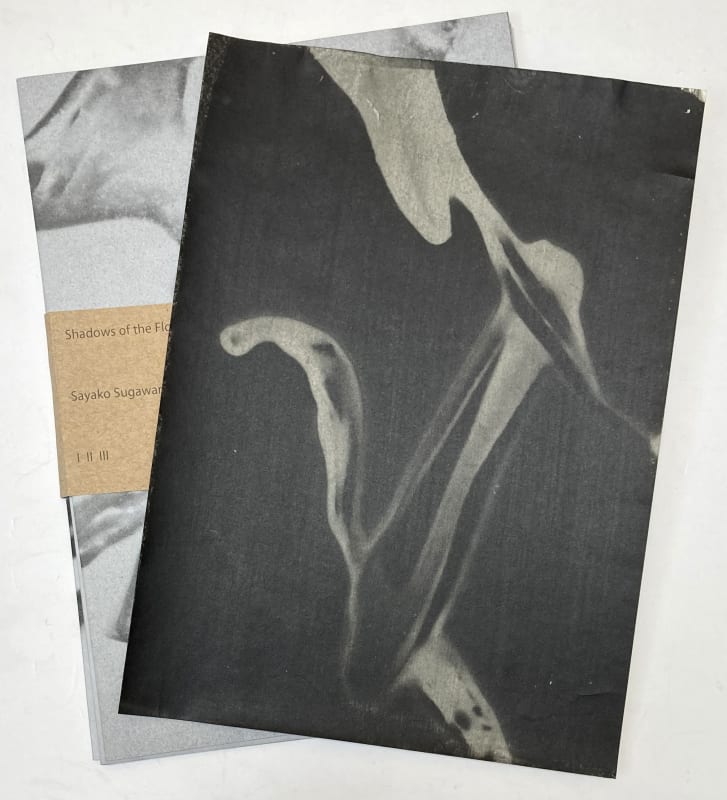 Shadows of the Flowers I,II,III - Sayako Sugawara, Special Edition with a darkroom print