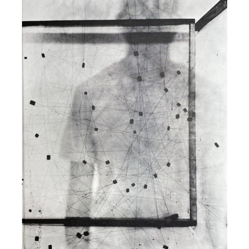 L'astrophile ou le rêve circulaire - Laurent Millet