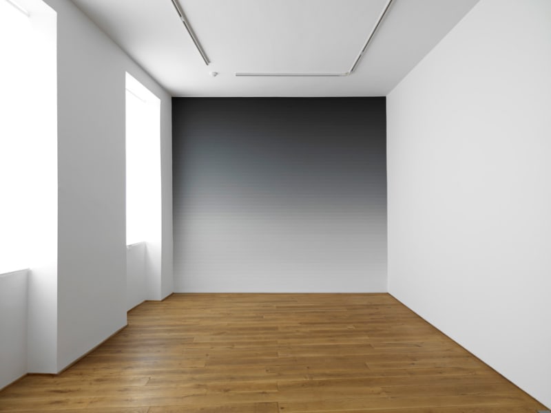 En Passant 5 2010 housepaint on wall