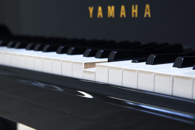 Katie Paterson - BOZAR Centre for Fine Arts