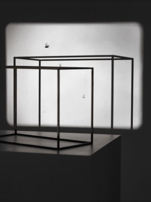 Charles Avery Untitled (Dihedra), 2010-2012 16mm projection, steel cage, 196 steel tiles, plinth, projector, looper, tripod Dimensions vary