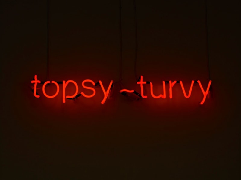 Peter Liversidge, Topsy Turvy, 2010 , Neon, 75 x 12.5 x 4 cm