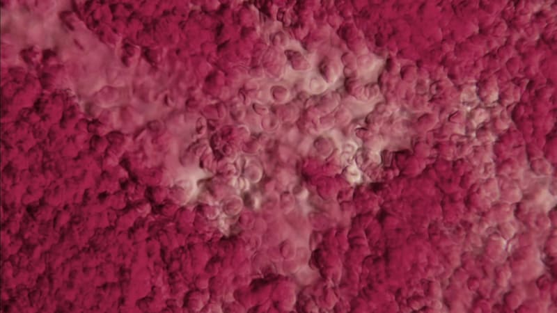 郑重宾,《运行中的异化之景》,2015年,环境影像装置,20分钟,影像截图。