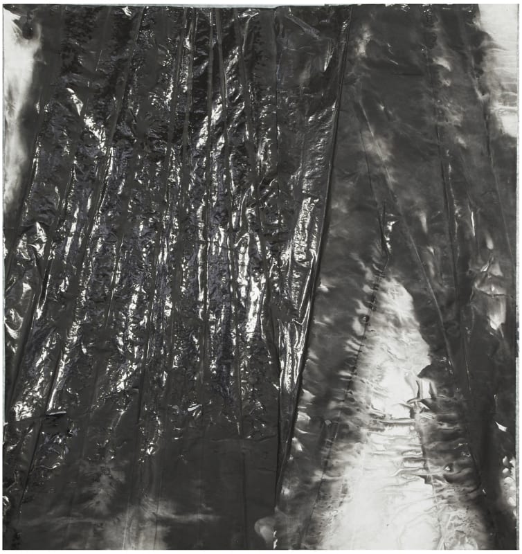 Shaped Reflection 有形的反光, 2015, Ink and acrylic on xuan paper 墨 丙烯 宣纸, 179 x 167 cm