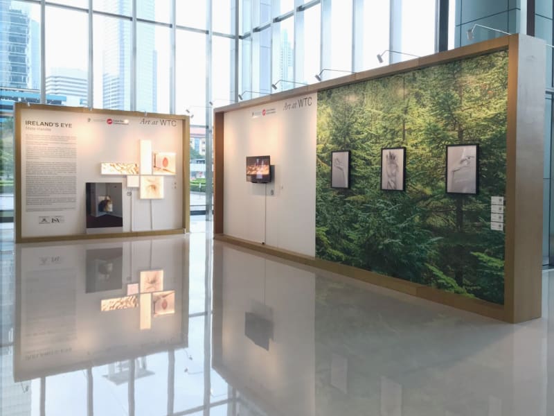 IRELAND’S Eye, The Art World is Enriched by The Introspective Works of Talented Artists Who Studied in Ireland