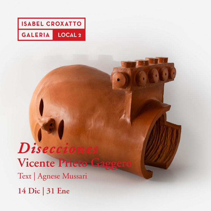 Disecciones | Vicente Prieto Gaggero