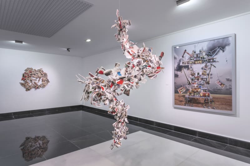 Order in chaos, Rosa Muñoz