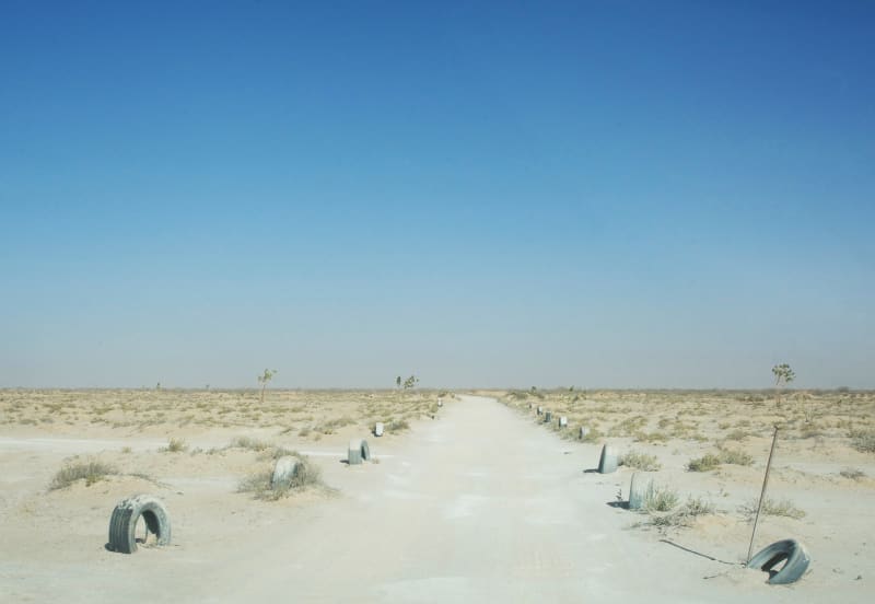 Beyond the horizon, Angélica Arbulu