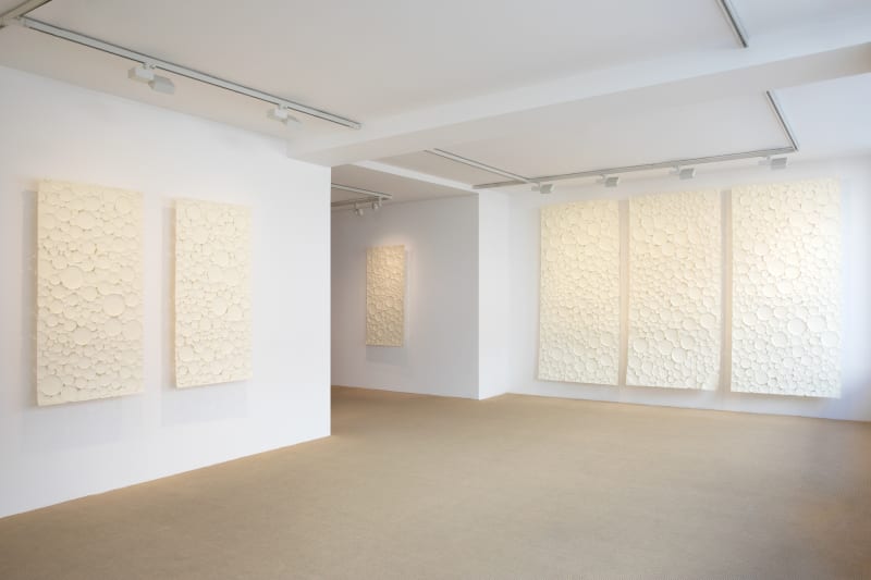 Hitomi Uchikura, Lumière