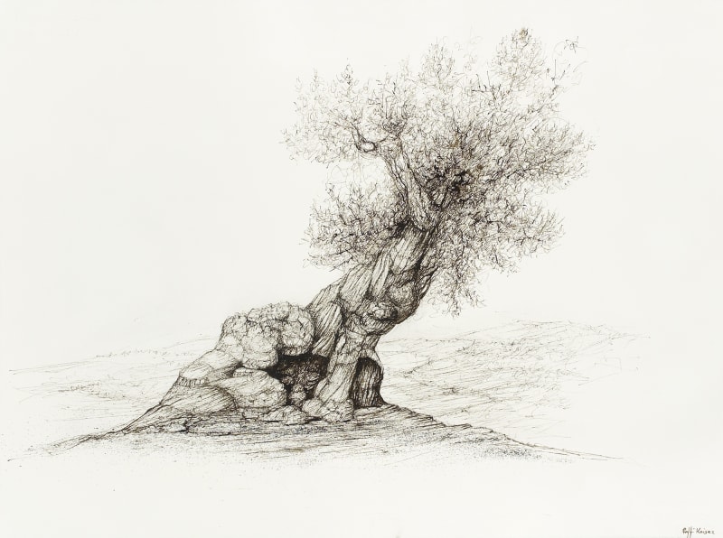 Raffi Kaiser, Drawings