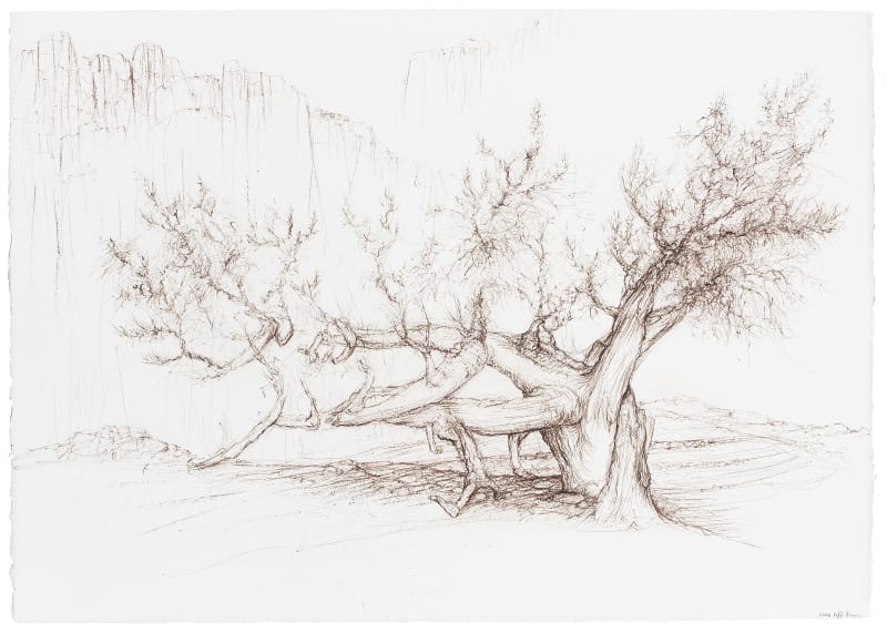 Raffi Kaiser, Portaits of Trees