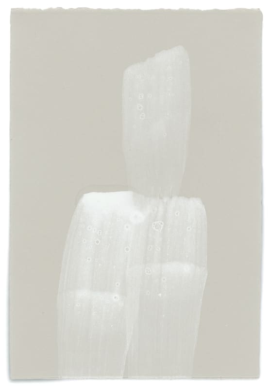 Hiroko, Works on paper and canvas