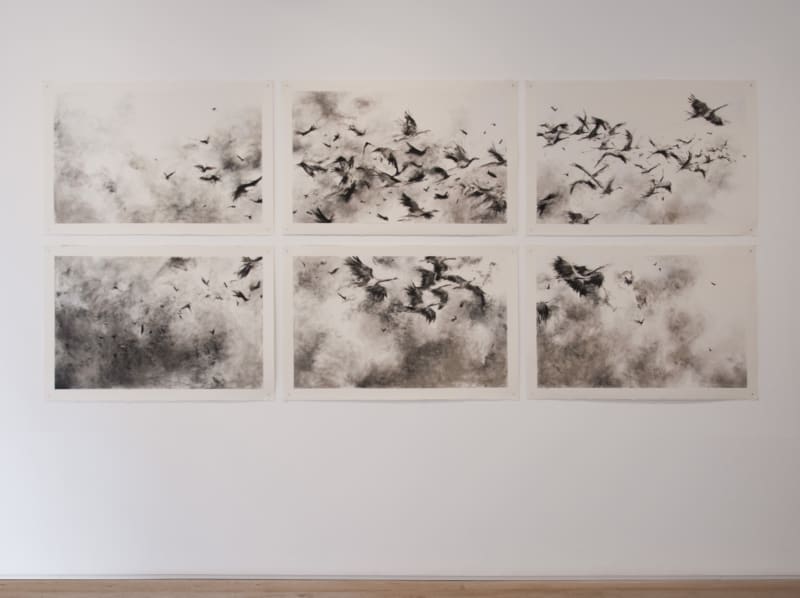 Dawit Abebe | Faig Ahmed | Phoebe Boswell, Trade Roots