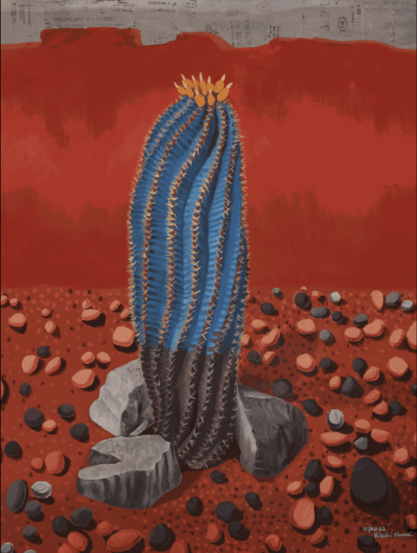 Kelechi Nwaneri, RED