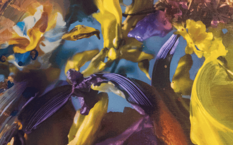 Andre Hemer, WEST PALM BEACH | SALON