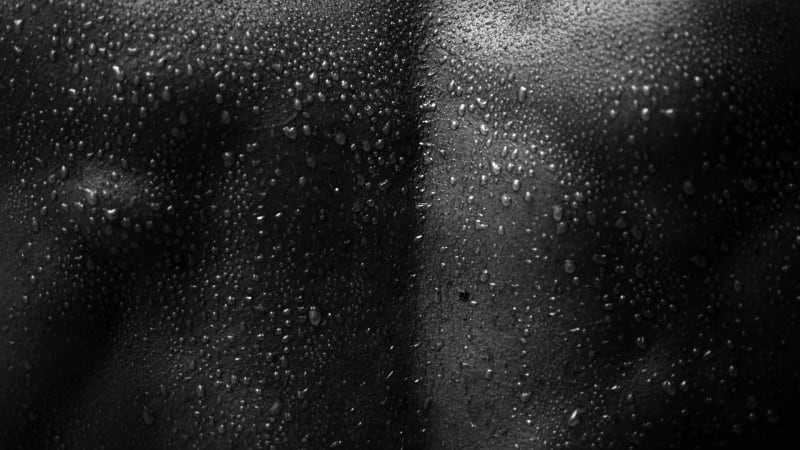 Peter Spanjer, WEST PALM BEACH I SALON