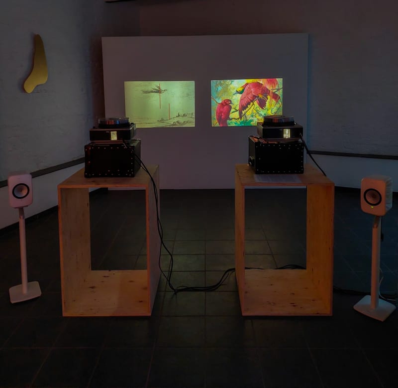 Sinta Tantra, Birds of Paradise