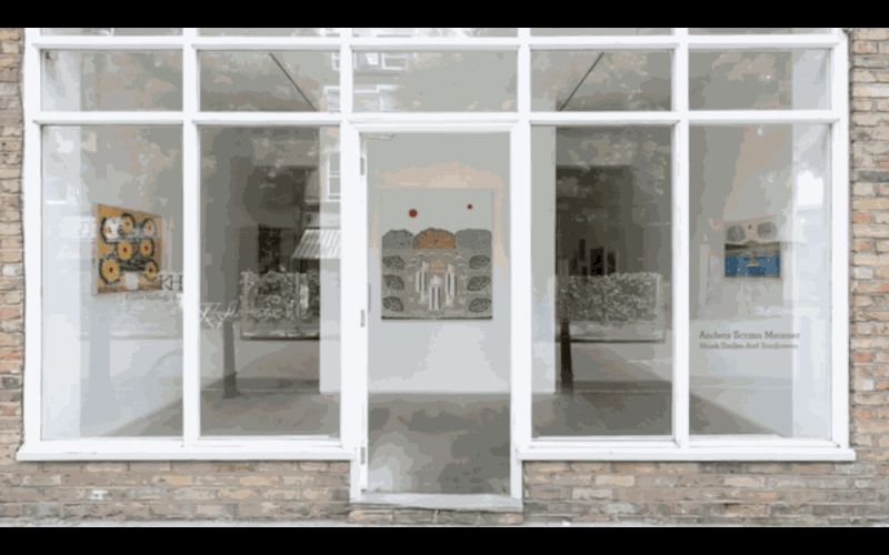 Anders Scrmn Meisner (Shark Smiles and Sunflowers)