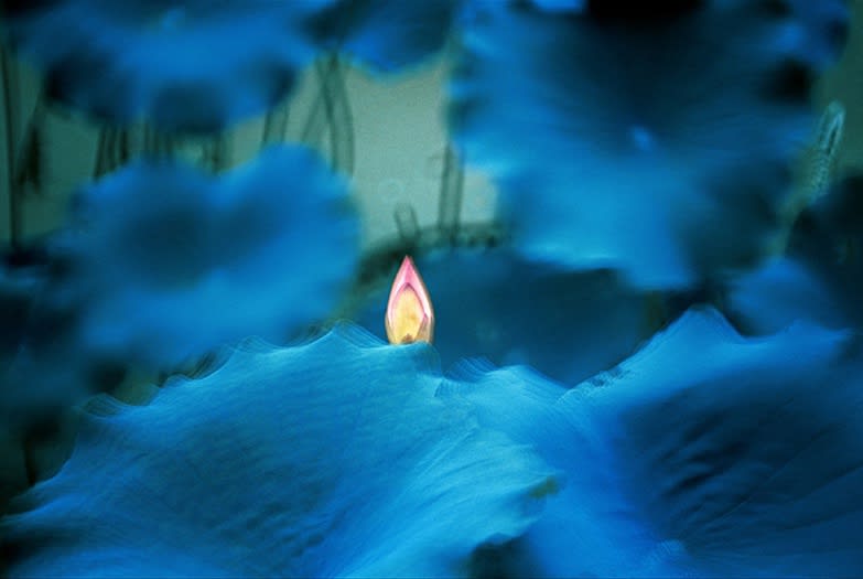 Leo K. K. Wong, Juliet, 2002
