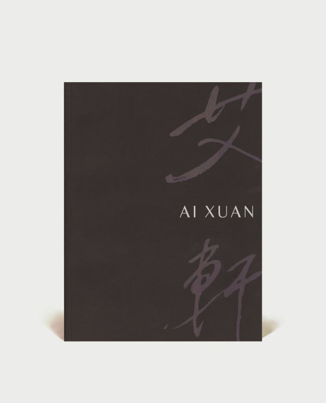 Ai Xuan, Colours from Ink
