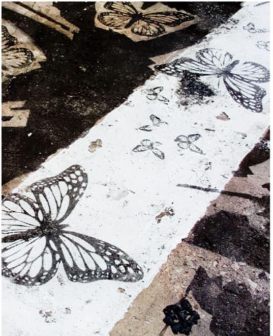 In Concrete: Urban Graphics, Vieques Portfolio