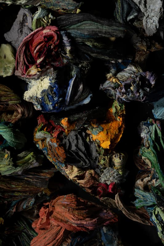 Heléna Dupre Thompson, Detritivore (Jen Crowe's studio 4), 2024 (detail)